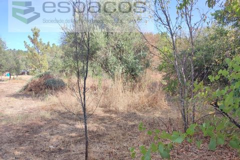 Farm i Castelo Branco, Castelo Branco, Castelo Branco - € 27.500 | Ref: 5703/EM_RR - foto 19