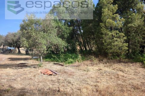 Farm i Castelo Branco, Castelo Branco, Castelo Branco - € 27.500 | Ref: 5703/EM_RR - foto 20