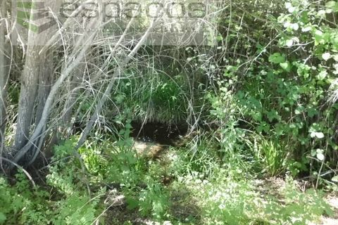 Farm i Castelo Branco, Castelo Branco, Castelo Branco - € 27.500 | Ref: 5703/EM_RR - foto 22