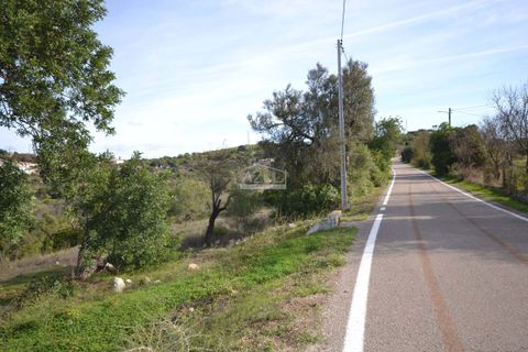 Helårsgrund i Loule, Faro, Loule - € 50.000 | Ref: 1009-2394 - foto 3