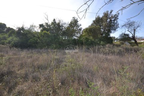 Helårsgrund i Loule, Faro, Loule - € 50.000 | Ref: 1009-2394 - foto 13