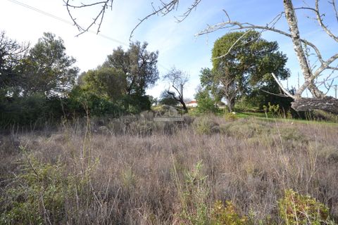 Helårsgrund i Loule, Faro, Loule - € 50.000 | Ref: 1009-2394 - foto 14