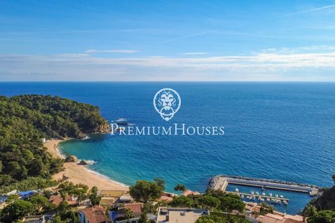 Villa i Lloret De Mar, Gerona, Lloret De Mar - € 1.890.000 | Ref: PH103660/3699 - foto 30