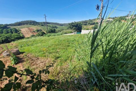 Helårsgrund i Cadaval, Lisbon, Cadaval - € 39.900 | Ref: 121678 - foto 22