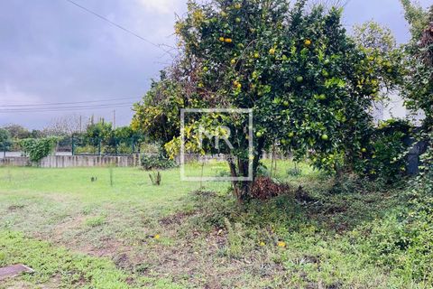 Villa a Anadia, Aveiro, Anadia - € 95.000 | Ref: 120/2025 LI - foto 2