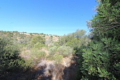 Terra a Paderne, Faro, Paderne - € 50.000 | Ref: STC2625 - foto 3