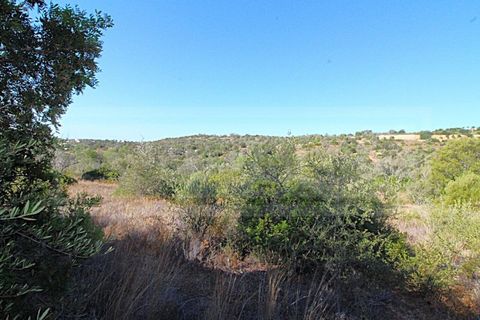 Terra a Paderne, Faro, Paderne - € 50.000 | Ref: STC2625 - foto 4