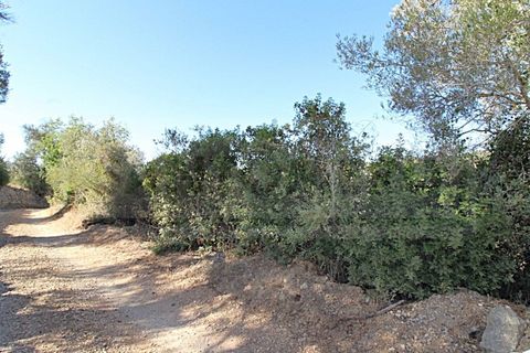 Terra a Paderne, Faro, Paderne - € 50.000 | Ref: STC2625 - foto 5