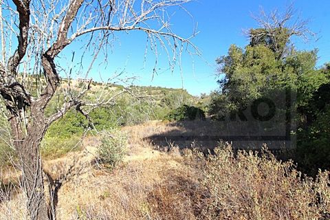 Terra a Paderne, Faro, Paderne - € 50.000 | Ref: STC2625 - foto 6