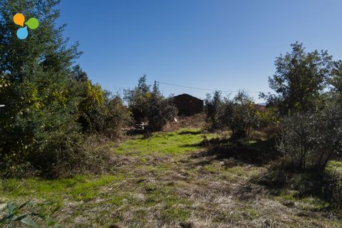 Villa i Covilha, Castelo Branco, Covilha - € 50.000 | Ref: C9658 - foto 5
