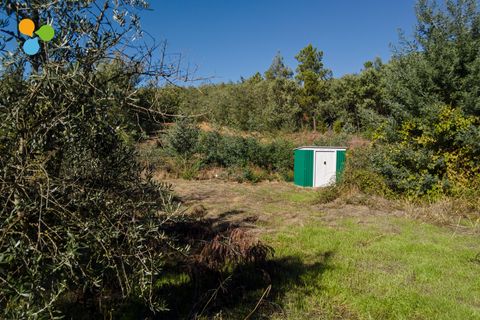 Villa i Covilha, Castelo Branco, Covilha - € 50.000 | Ref: C9658 - foto 6