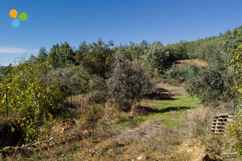 Villa i Covilha, Castelo Branco, Covilha - € 50.000 | Ref: C9658 - foto 7