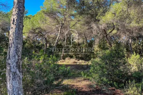 Terra a Cala Llenya, Ibiza, Cala Llenya - € 1.500.000 | Ref: 7721 - foto 5