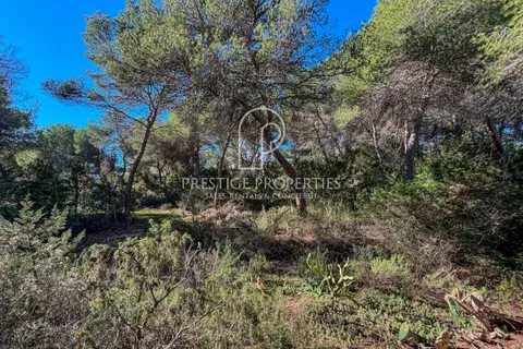 Terra a Cala Llenya, Ibiza, Cala Llenya - € 1.500.000 | Ref: 7721 - foto 6