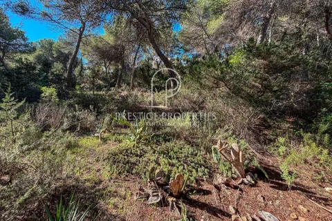 Terra a Cala Llenya, Ibiza, Cala Llenya - € 1.500.000 | Ref: 7721 - foto 7