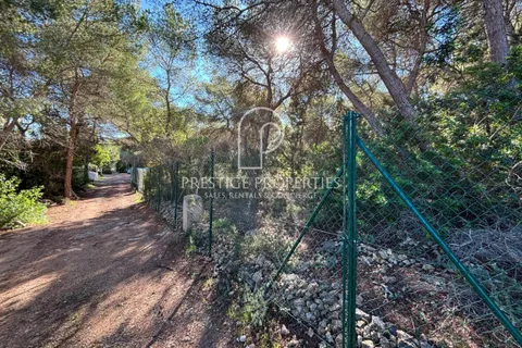 Terra a Cala Llenya, Ibiza, Cala Llenya - € 1.500.000 | Ref: 7721 - foto 9