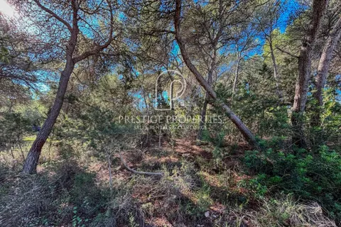 Terra a Cala Llenya, Ibiza, Cala Llenya - € 1.500.000 | Ref: 7721 - foto 10