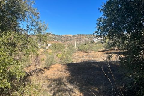 Herregård i Comares, Malaga, Comares - € 140 000 | Ref: ID3934 - foto 14