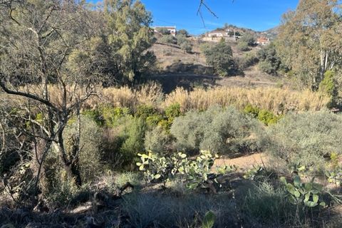Herregård i Comares, Malaga, Comares - € 140 000 | Ref: ID3934 - foto 15