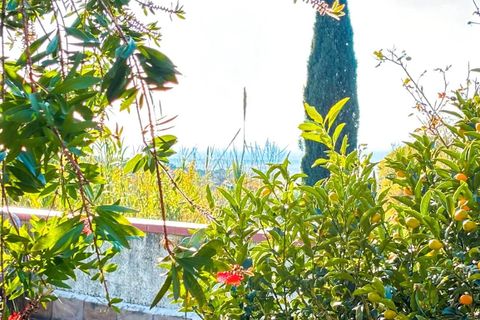 Villa a Guardistallo, Pisa, Guardistallo - € 289.000 | Ref: C712 - foto 20