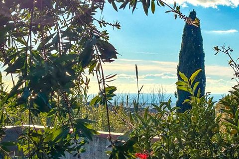 Villa a Guardistallo, Pisa, Guardistallo - € 289.000 | Ref: C712 - foto 46