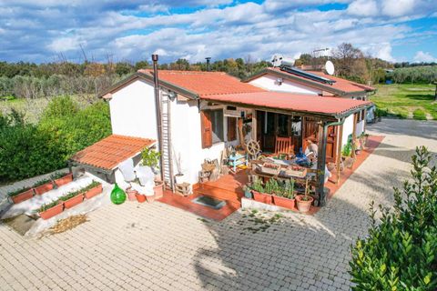 Villa i Casale Marittimo, Pisa, Casale Marittimo - € 350.000 | Ref: CS445 - foto 5