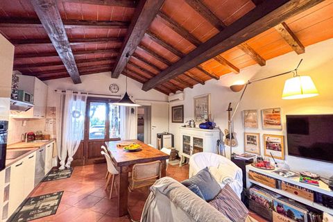 Villa i Casale Marittimo, Pisa, Casale Marittimo - € 350.000 | Ref: CS445 - foto 15