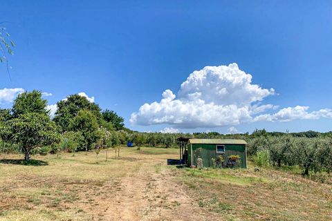 Villa i Casale Marittimo, Pisa, Casale Marittimo - € 350.000 | Ref: CS445 - foto 35