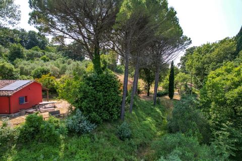 Villa a Montescudaio, Pisa, Montescudaio - € 325.000 | Ref: CS465 - foto 31