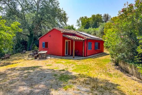 Villa a Montescudaio, Pisa, Montescudaio - € 325.000 | Ref: CS465 - foto 7