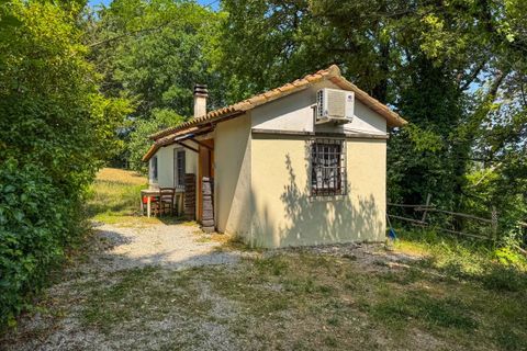 Villa a Montescudaio, Pisa, Montescudaio - € 325.000 | Ref: CS465 - foto 4