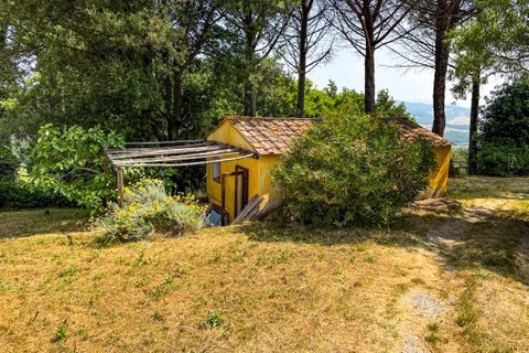 Villa a Montescudaio, Pisa, Montescudaio - € 325.000 | Ref: CS465 - foto 2