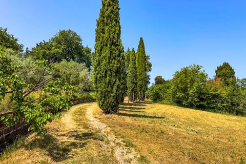 Villa a Montescudaio, Pisa, Montescudaio - € 325.000 | Ref: CS465 - foto 6