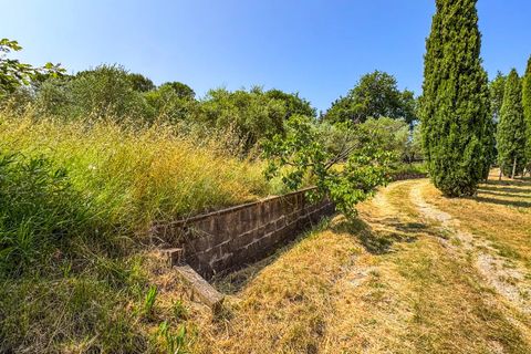 Villa a Montescudaio, Pisa, Montescudaio - € 325.000 | Ref: CS465 - foto 14