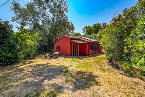 Villa a Montescudaio, Pisa, Montescudaio - € 325.000 | Ref: CS465 - foto 23