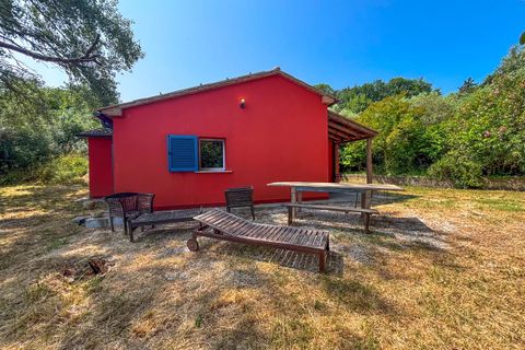 Villa a Montescudaio, Pisa, Montescudaio - € 325.000 | Ref: CS465 - foto 37