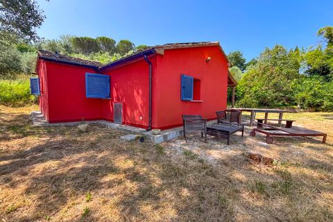 Villa a Montescudaio, Pisa, Montescudaio - € 325.000 | Ref: CS465 - foto 45