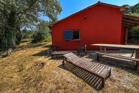 Villa a Montescudaio, Pisa, Montescudaio - € 325.000 | Ref: CS465 - foto 49