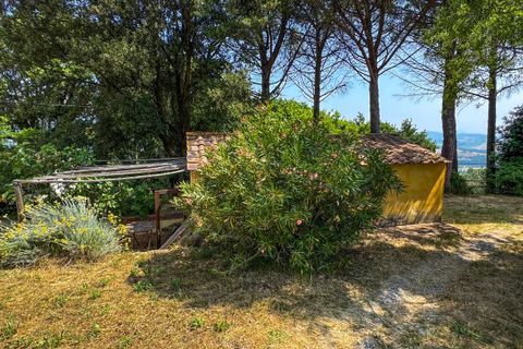 Villa a Montescudaio, Pisa, Montescudaio - € 325.000 | Ref: CS465 - foto 38