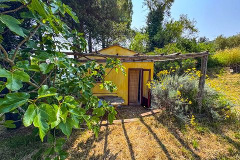 Villa a Montescudaio, Pisa, Montescudaio - € 325.000 | Ref: CS465 - foto 29