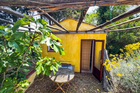 Villa a Montescudaio, Pisa, Montescudaio - € 325.000 | Ref: CS465 - foto 3