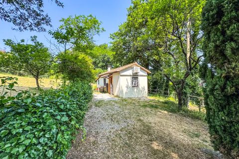 Villa a Montescudaio, Pisa, Montescudaio - € 325.000 | Ref: CS465 - foto 47