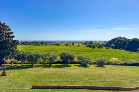 Villa a Cecina, Livorno, Cecina - € 1.200.000 | Ref: M159 - foto 16