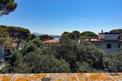 Villa i Rosignano Marittimo, Livorno, Rosignano Marittimo - € 1.900.000 | Ref: CS449 - foto 7