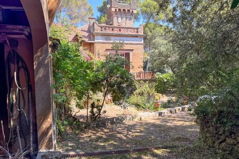 Villa i Rosignano Marittimo, Livorno, Rosignano Marittimo - € 1.900.000 | Ref: CS449 - foto 10
