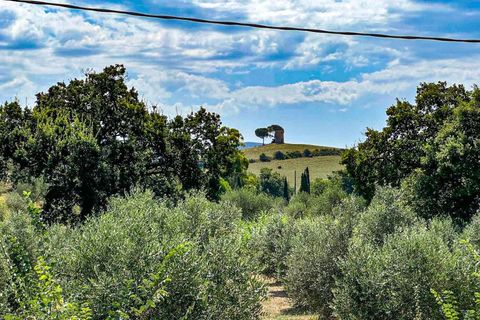 Villa i Bibbona, Livorno, Bibbona - € 500.000 | Ref: CS446 - foto 12
