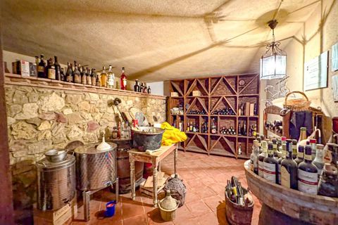 Villa i Cecina, Livorno, Cecina - € 900.000 | Ref: CS295 - foto 35
