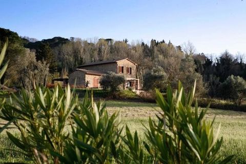 Villa a Montescudaio, Pisa, Montescudaio - € 1.100.000 | Ref: CS209 - foto 4