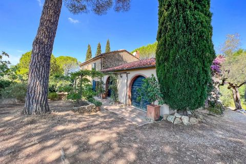 Landejendom i Guardistallo, Pisa, Guardistallo - € 1.150.000 | Ref: CS369 - foto 7