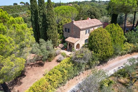 Landejendom i Guardistallo, Pisa, Guardistallo - € 1.150.000 | Ref: CS369 - foto 10